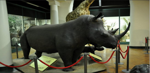 Natal-Museum